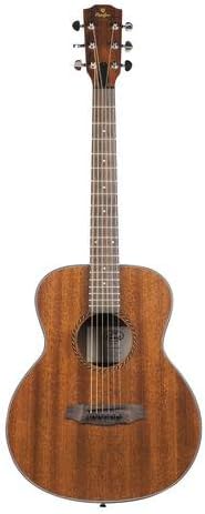 Prodipe 6 String Classical Guitar (BB27 MHS)