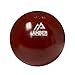 Amber Sporting Goods Economy Turned Iron Shot Put