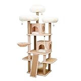 Catry Babylon Cat Tree - A Dynamic Complex Cat Tower with Cat Hammock, Scratching Post, and Playful Toys Invariably Trap Kitten to Stay Around This Easy Assembled Sturdy Cat Furniture (Deluxe)