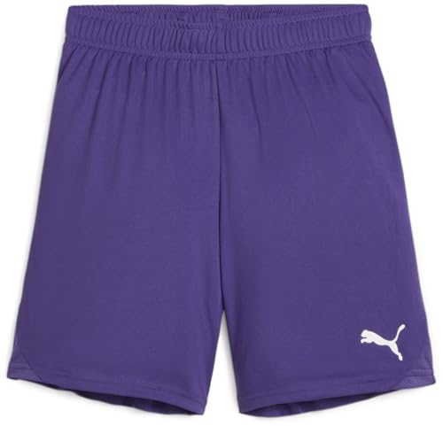 PUMA - Juniors Teamgoal Shorts, Color Team Violet/White, Size: Small