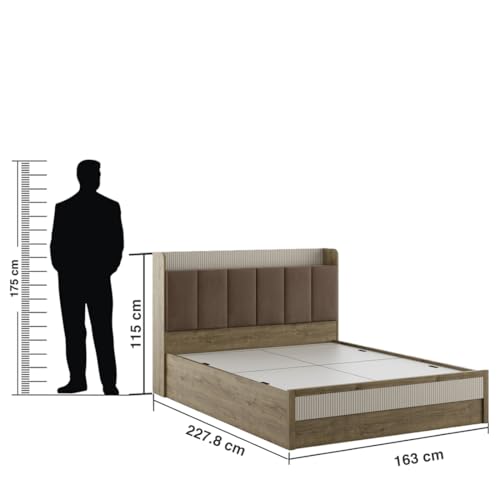 Image of Spacewood Gloria Bed | Queen Size (78 X 60) Engineered Wood Bed with Box Storage| 3 Year Warranty | Modern Design | Sebastain Oak
