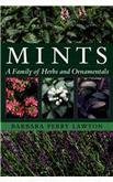Mints A Family Of Herbs And Ornamentals