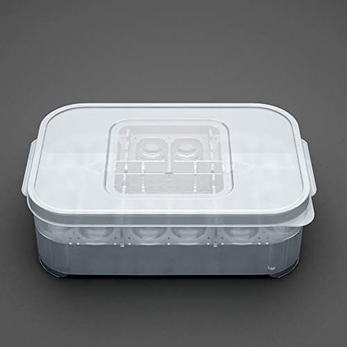 Festnight Bandeja De Ovo Réptil Caixa De Ovo Réptil Caixa De Reprodução De Répteis Caixa De Incubaçã