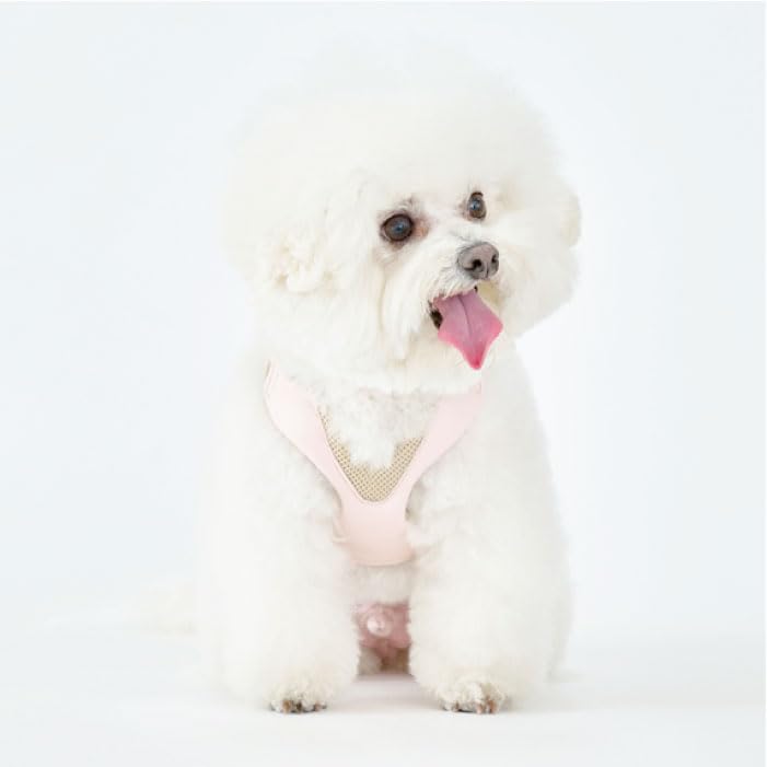 Amazon | 【anifull 公式】アニサポ ハーレスト cocochi（ココチ