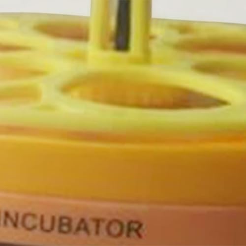 MYCENSE Máquina de Incubação de Ovos com Termostato Automático E Conector Europeu