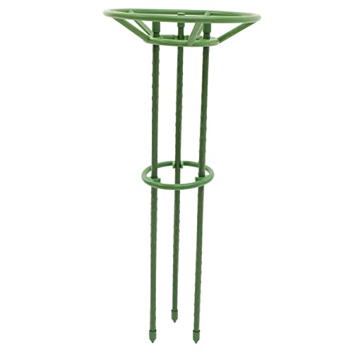 TOYANDONA Cage à Support De Plantes Résistant à Usure Cage pour Plantes Grimpantes Treillis
