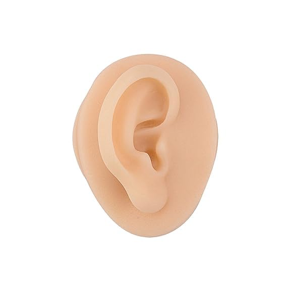 Silicone Ear Model with Acrylic Stand, Flexible Ear Mold for Piercing Practice, Rubber Ear for Jewelry Display (B0CH54BTYT) Amazon Price History, Amazon Price Tracker