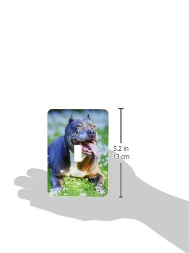 Pit Bull interrupteur 3dRose lsp_203751_1 avec impression multicolore durable - 4