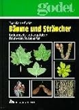 Bäume und Sträucher: Einheimische und eingeführte Baum- und Straucharten
