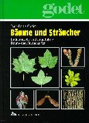 Bäume und Sträucher: Einheimische und eingeführte Baum- und Straucharten
