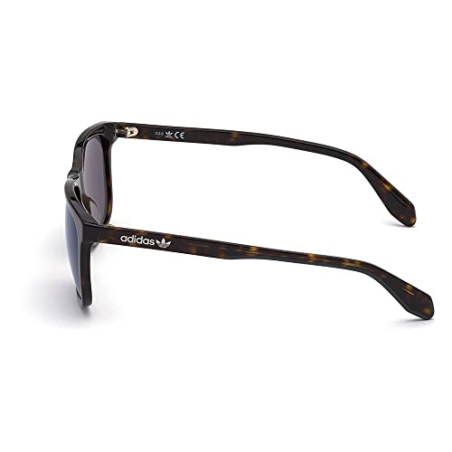 Adidas Originals OR0040 52Q dark havana 58/16/145 MAN Sunglasses2