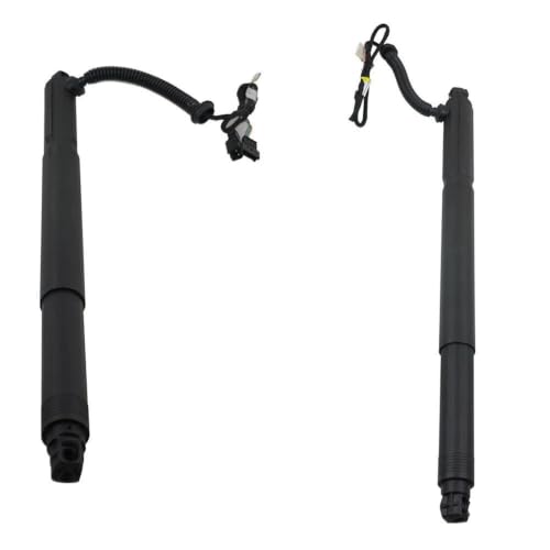 Vérin de hayon électrique 51247332697 de qualité pour X6 E71