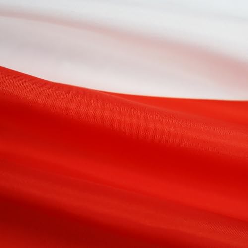 Image of AZ FLAG - Italy Flag - 2x3 Ft - 100D Polyester Italian Banner with Two Metal Grommets - Fade Resistant - Vivid Colors - 2' x 3' Feet - 90x60 Cm