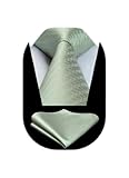 HISDERN Cravate Homme Vert sauge Mariage Élégant Cravates et Pochette à Motif Classique Ensemble de Cravate Mouchoir d'affaires Fête