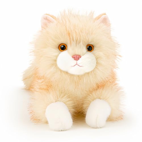 L ʂ A  킢 ӂӂ  {G t@[XggC j̎q ̎q xr[ LbY  h[nEX a v[g Mtg 30cm (S[fVF[fbh, )