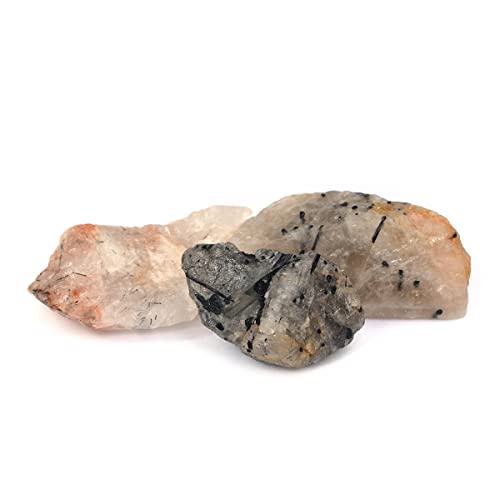 ChVRubN`NH[ctA100OAubN`NH[c-B09PDRNK3F