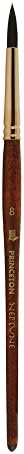 Princeton Neptune Short Handle Round Paint Brush | Maximum Colour Holding Capacity | Even & Consistent Flow | Durable & Affordable | Size - No 8