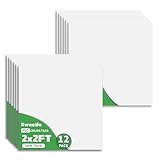 Smooth White Drop Ceiling Tiles 2ft x 2ft, PVC Ceiling Panels Waterproof, Washable, 12 Pack Ceiling Tile Fire-Rated to Prevent Breakage Cover 48 Sq. Ft, for Basement, Kitchen, Bathroom, Office