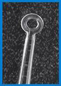 PT# -2210 PT# # 2210- Curette Ear Light Angleloop 4mm Angled Light Flexible 5...