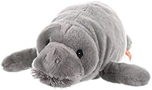 manatee teddy