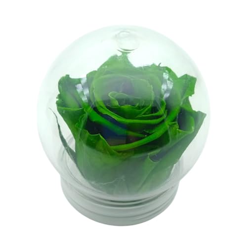Genérico Rosa ETERNA Verde. Cupula. Rosa preservada Verde. Flores preservadas. Comprar Flores preservadas. Flores PRESERVADAS.