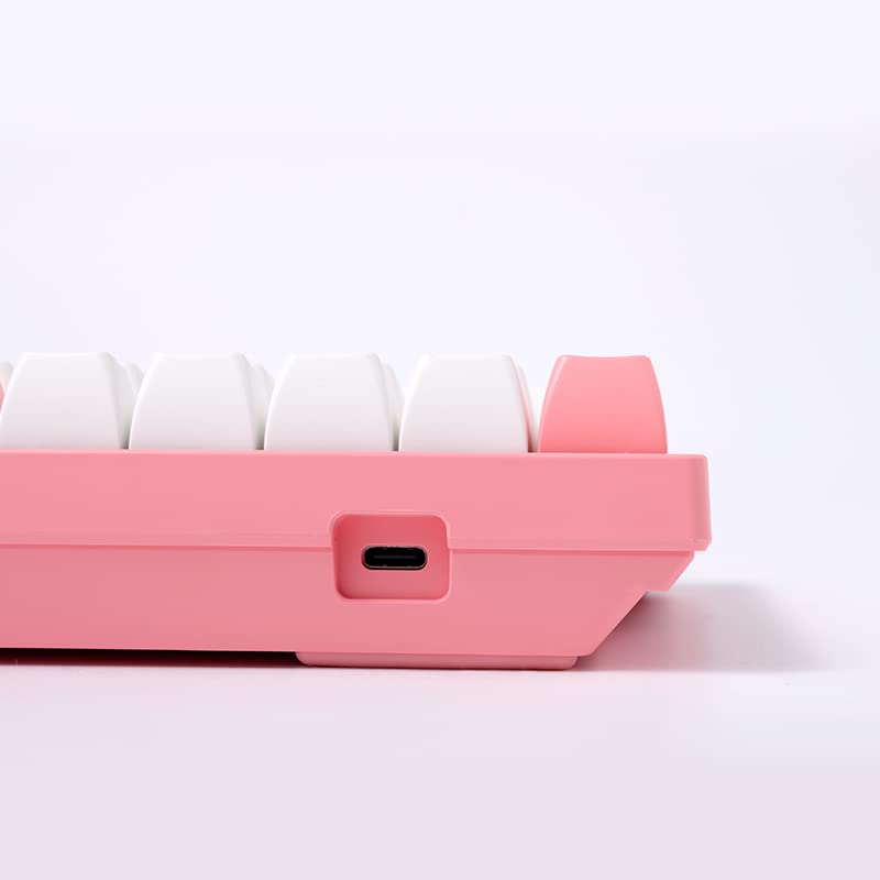 Amazon.com: Akko World Tour Tokyo 75% Hot-swappable