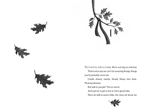 Image of Wishtree