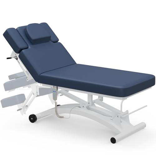 Paddie 550lbs Hi-Lo Electric Massage Table on Wheels,