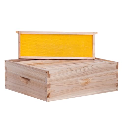 BeeCastle 10 Frame Medium Super Bee Hive Box Langstroth Honey Bee Hive Include Beehive Frames and Waxed Foundations (Unassembled)