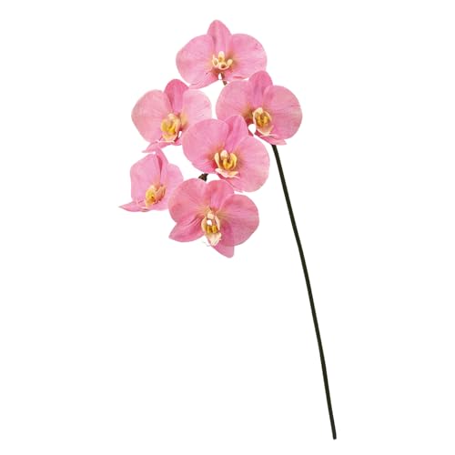 ������(Tokyodo) MAGIQ �A�[�e�B�t�B�V�����t�����[ �~�J�G���t�@���m�v�V�X #2 PINK FW093450-002