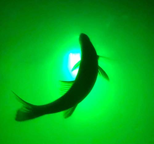 Green Blob Outdoors New Underwater Fishing Light for Docks with 30ft Cord, LED, Fish Attracting, Crappie, Snook 7500 Lumen 110V, Made in Texas