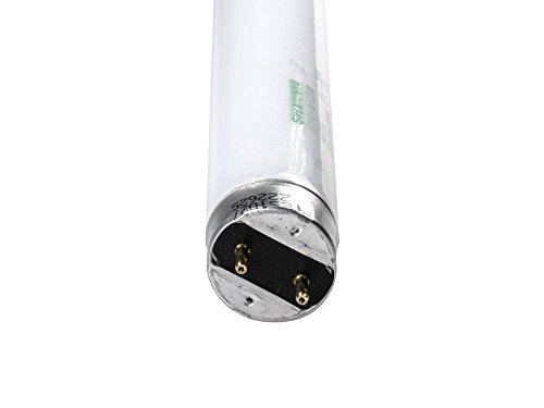 Sylvania T8 Cool White Fluorescent Tubes #TOP22
