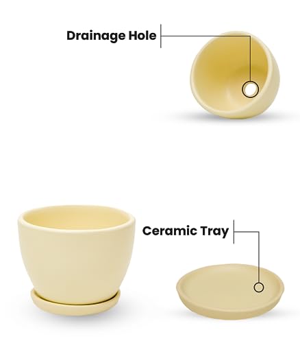 Image of Nurturing Green Set of 2 Modern Ivory White Ceramic Pots (Plants Not Included) for Home, Indoor Decor & Gifting (Size: Small (4.25 Inch Wide) | Comes with Bottom Plates)