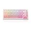 White & Pink / Violet Switch