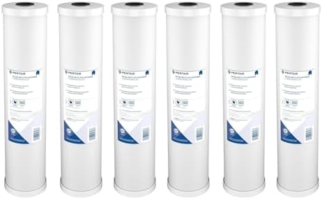 Pentair Pentek RFC-20BB Big Blue Carbon Water Filter, Whole House Heavy Duty Radial Flow Carbon Replacement Cartridge with Granular Carbon (GAC) Filter, 20" x 4.5", 25 Micron, Pack of 6, White