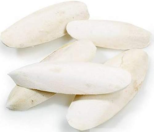 Cuttle Fish Bone/Natural Bird Calcium/Natural Minerals for Birds for Finches, Budgies, Conures, Lovebirds, Cockatiels, African Grey, Macaws, Cockatoo (250 GRAM) / TAIYO PLUSS DISCOVERY