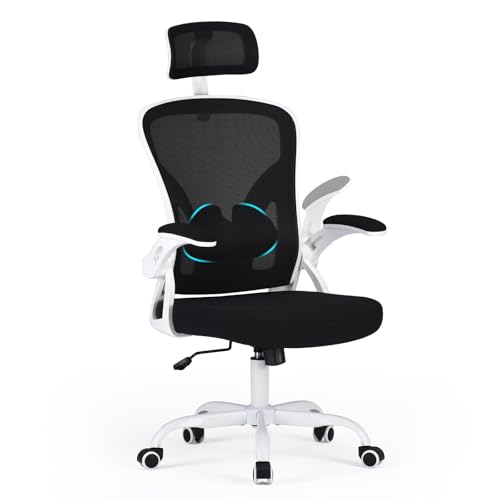 Farini Höhenverstellbar Ergonomischer Stuhl Schreibtisch Stuhl Bürostuhl Bequem mit Kopfstütze, Home Office Stuhl Computer Stühle Chefsessel mit Armlehne, PC Stuhl mit Rollen