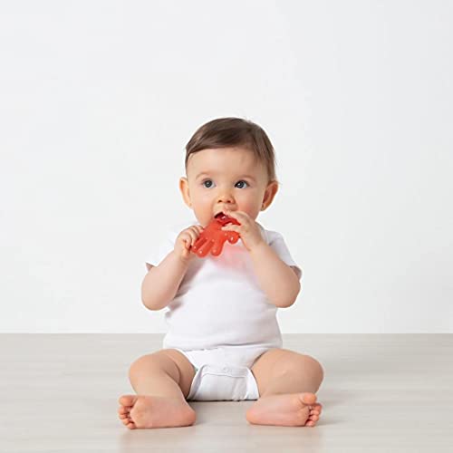 Mordedor Bebê Mãozinha Água Azul Buba