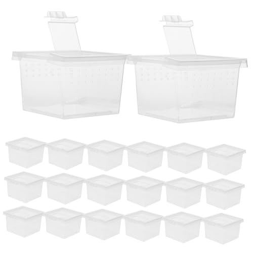 DEARMAMY 20 ώ@ ^঒ގ{bNX gѕ֗ Eh~ yʃRpNg ae w J^c gJQ̔ɐB