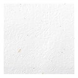 【Amazon.co.jp 限定】和紙かわ澄 日本の色 もみ和紙 金銀振り 白 しろ 約15×15cm 10枚入