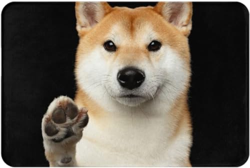 �Č� ���� ���� �J�[�y�b�g �����` ���O�}�b�g ���փ}�b�g ���O �O�~ �l�G�ʗp �h�_�j �R�� �h�L �􂦂� �ӂ�ӂ픧�G�� ����~�߃z�b�g�J�[�y�b�g �ې�OK �A�j�� �l�C �v���[���g 40×60cm S37