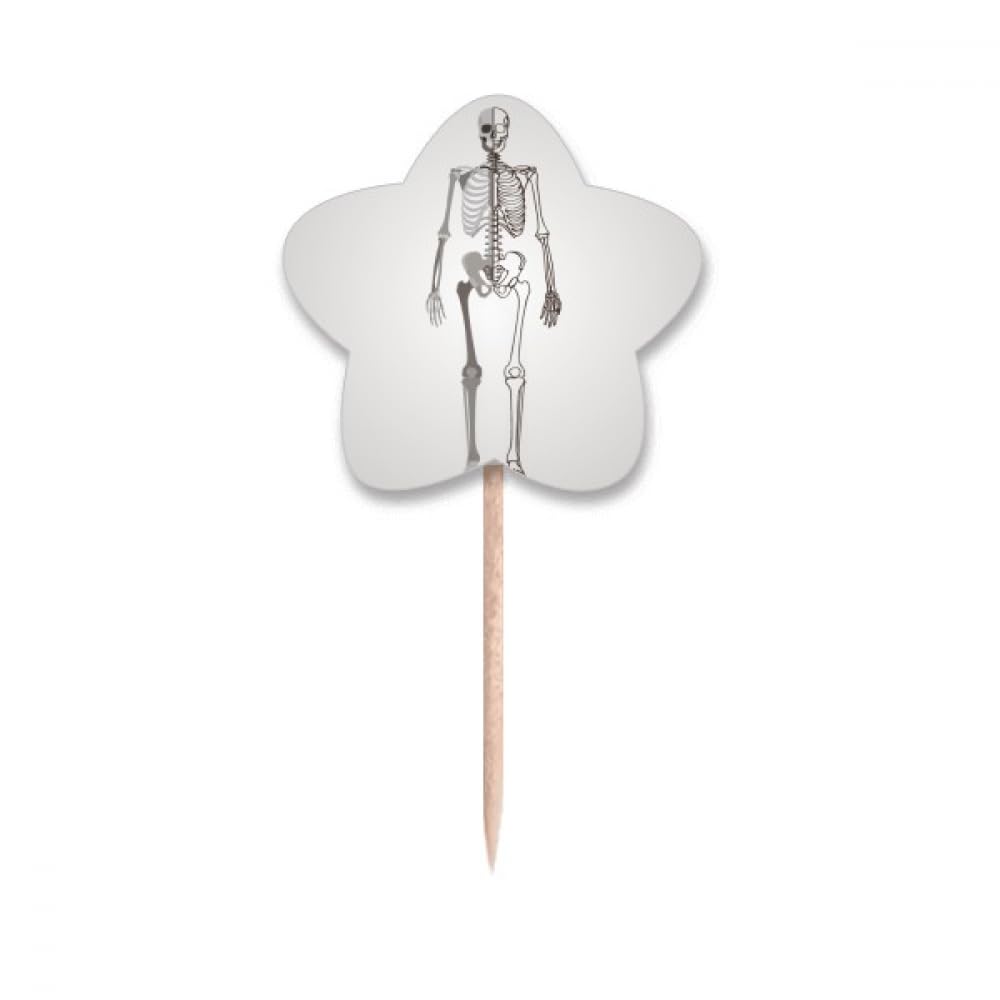 Cure-dents squelette pour cupcake étoile accessoire buffet Halloween et pique gâteau