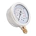 Aulic Pressure, 0 400BAR 0 5800PSI G1/4 Thread, 68mm Dial with Double Scale, Metal Manometer for Air, Oil Pressure urement in Industrial and Home Use