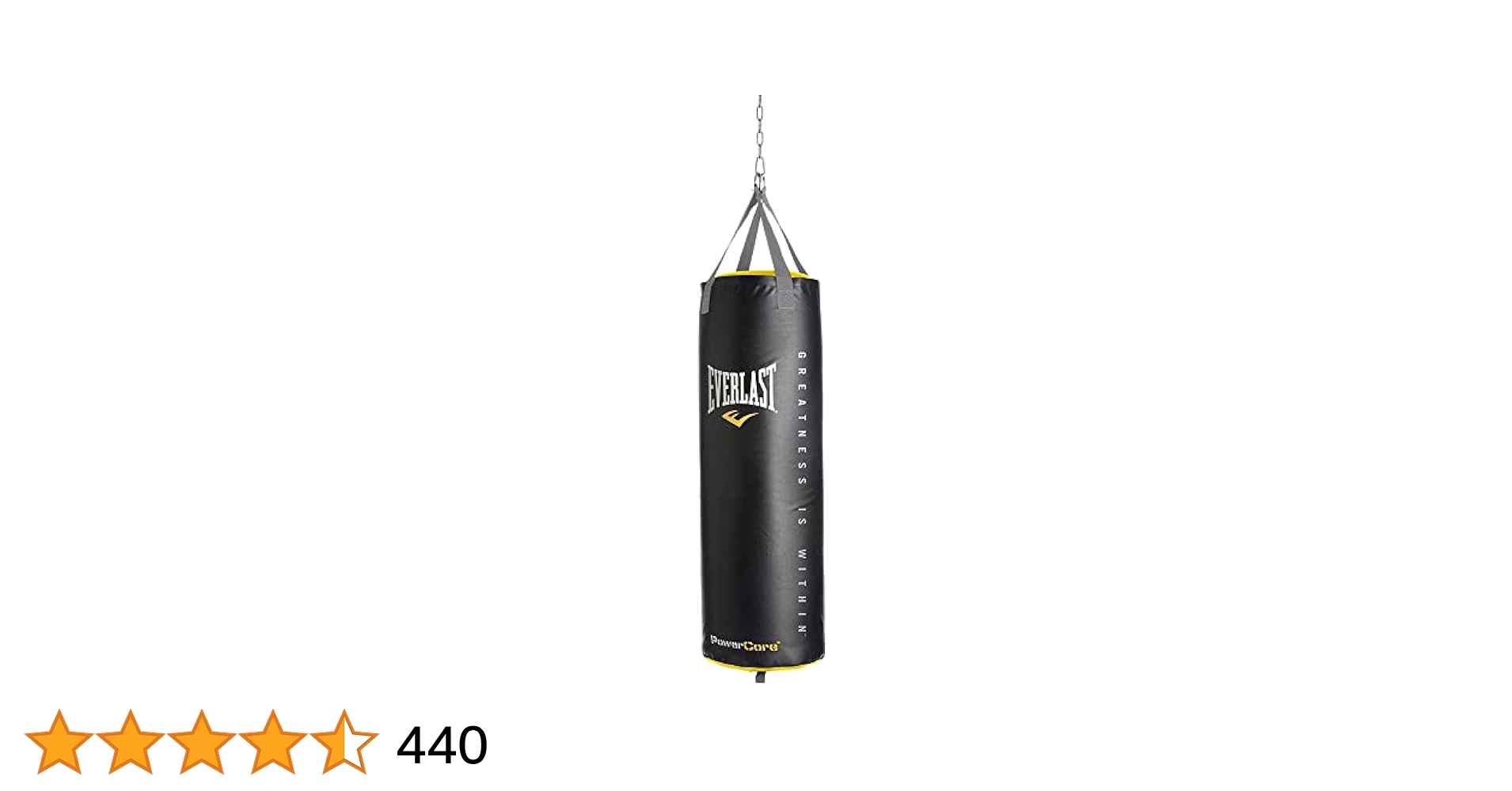 EVERLAST サンドバッグ 黒 チェーン付き 31P357wU9WL.jpg_BO30,255,255,