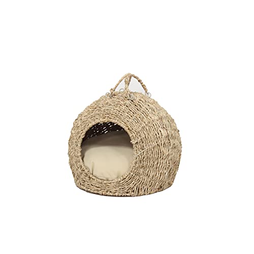 NVI Newybg  Lxbh  h[ LbgnEX L NbVt i`