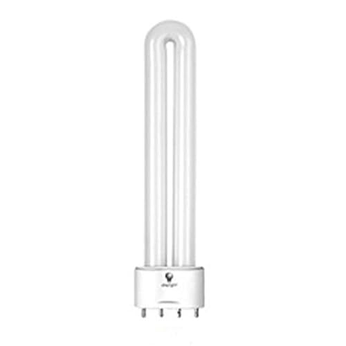 PL-L 24 Watt 865 4P 2G11 Tageslicht - Philips