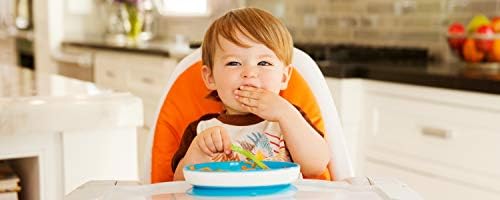 Munchkin Stay Put Divided Suction Plates, Blue/Green