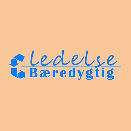 『B&aelig;redygtig ledelse』のカバーアート