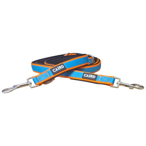 Laisse de dressage double CAIRD 2m réglable en nylon robuste
