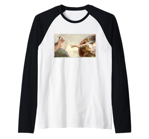 Divertente schiaffo di gatto Sarcastico Creazione Di Adam Cat Meme Amante Gatto Maglia con Maniche Raglan